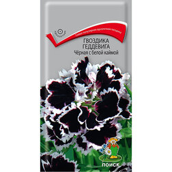 Гвоздика Геддевига Чёрная с белой каймой миски пластиковые на белой подставке 27 5 х 14 х 15 см чёрная белая