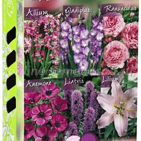 Коллекция «Розовые и лиловые оттенки» (Florex 6404) 