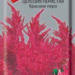 Целозия перистая Красное перо семена ов целозия дракула гребенчатая сем алт ц п 3 шт