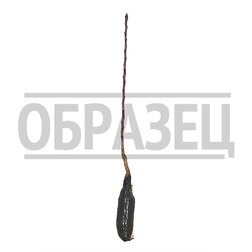 Яблоня колонновидная Московское ожерелье (Х-2) (семенной подвой) лесное ожерелье