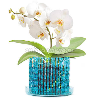 Горшок корона для орхидей (бирюза)