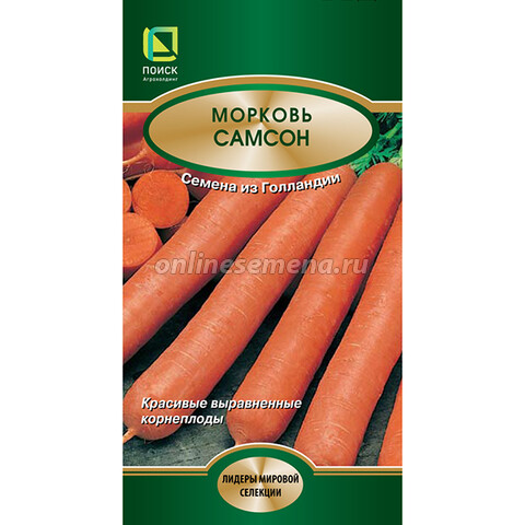Морковь Самсон'