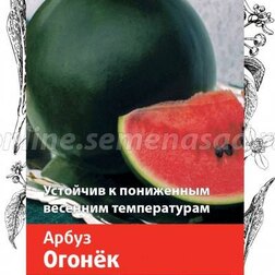 Арбуз Огонек из каталога Семена овощей – купить с доставкой по Москве иРоссии в Onlinesemena