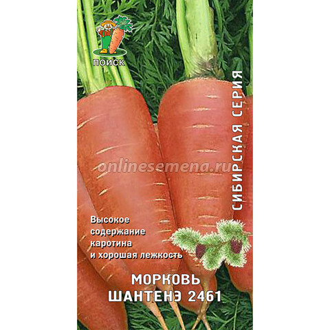 Морковь Шантенэ 2461 (Сибирская серия)