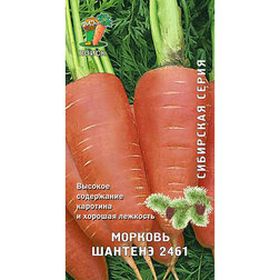 Морковь Шантенэ 2461 (Сибирская серия) морковь ньютон f1 сибирская серия