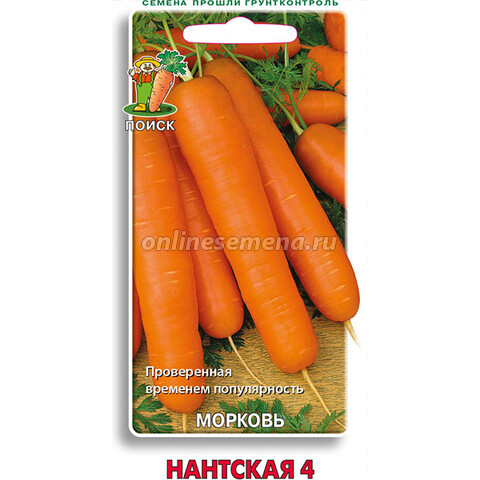 Морковь Нантская 4'