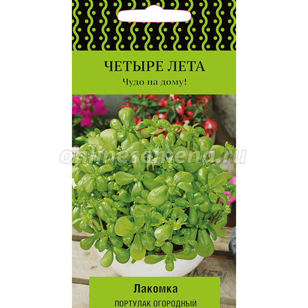 Портулак огородный Лакомка из каталога Семена овощей – купить с доставкой  по Москве и России в Onlinesemena
