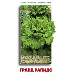 Салат Гранд Рапидс из каталога Семена овощей – купить с доставкой по Москвеи России в Onlinesemena