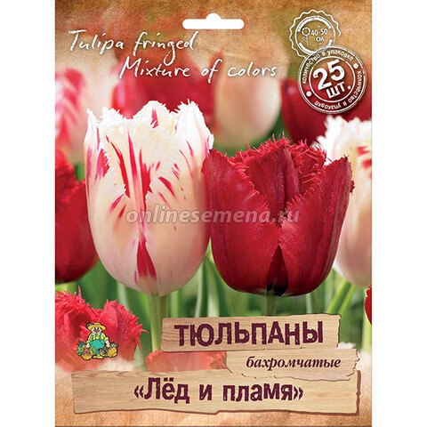 Тюльпаны бахромчатые «Лёд и пламя» смесь окрасок (25 шт.)