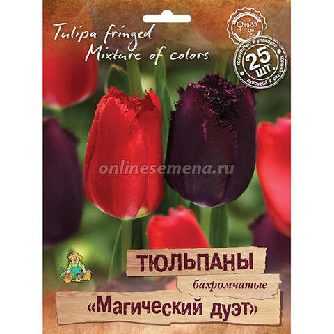 Тюльпаны бахромчатые Магический дуэт смесь окрасок (25 шт.)