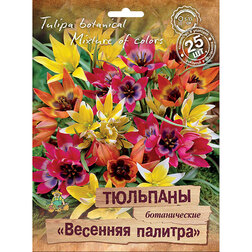 Тюльпаны ботанические Весенняя палитра смесь окрасок (25 шт.) весенняя раскраска
