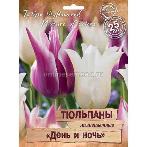 Тюльпаны лилиецветные «День и ночь» смесь окрасок (25 шт.)