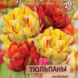 Тюльпаны махровые «Весенний фейерверк» смесь окрасок (25 шт.) занимательный конверт праздничный фейерверк веселые задания с наклейками