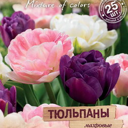 Тюльпаны махровые «Романтическая история» смесь окрасок (25 шт.) санта подлинная история