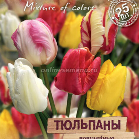 Тюльпаны попугайные «Весенний фейерверк» смесь окрасок (25 шт.)