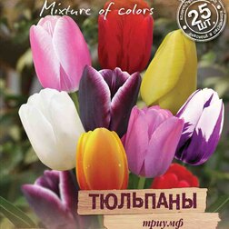 Тюльпаны триумф «Весенний фейерверк» смесь (25 шт.) занимательный конверт праздничный фейерверк веселые задания с наклейками
