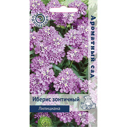 Иберис зонтичный Лилициана (Ароматный сад) иберис зонтичный лилициана ароматный сад