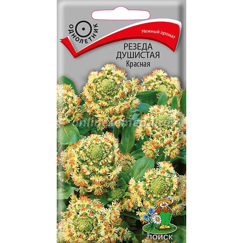Резеда душистая Красная 