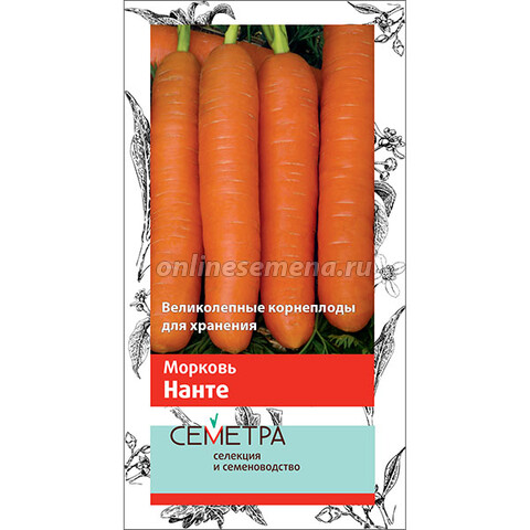 Морковь Нанте (Семетра)