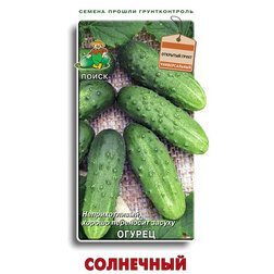 Огурец Солнечный