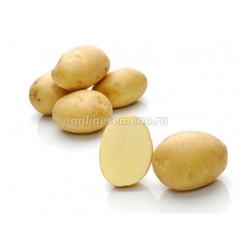 Картофель семенной Вымпел (с/элита) (3кг)