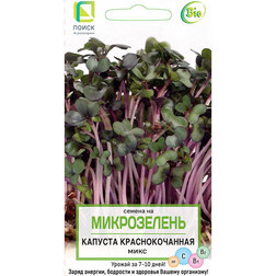 Капуста краснокочанная Микс (Микрозелень) семена микрозелень капуста микс 5 гр