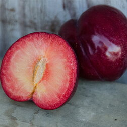 Шарафуга (гибрид абрикоса х сливы х персика) (подвой алыча) (в сетке) яблоня звездочка подвой 54 118 полукарликовый в сетке