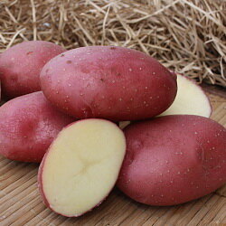 Картофель семенной Маяк (с/элита) (3кг) картофель семенной вымпел с элита 3кг