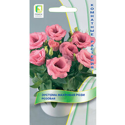 Эустома махровая Рози Розовая эустома махровая рози бело розовая