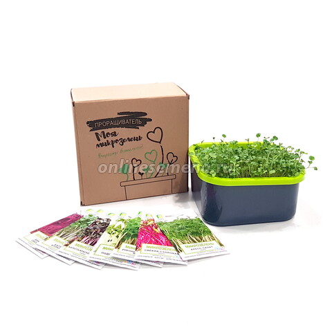 Подарочный набор «Моя микрозелень» проращиватель+семена