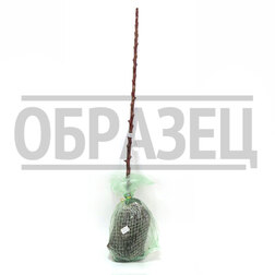 Яблоня колонновидная Московское ожерелье Х-2 (подвой 54-118 полукарликовый) (в сетке) жемчужное ожерелье морган м де