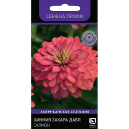 Цинния Захара Дабл Салмон (Семена Профи) семена ов цинния георгиновидная фэнтези f1 византийский пурпур 4 шт