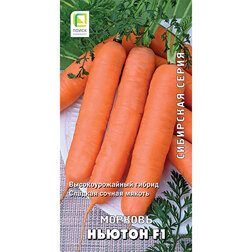 Морковь Ньютон F1 (Сибирская серия) ньютон и кюри любознательные бельчата