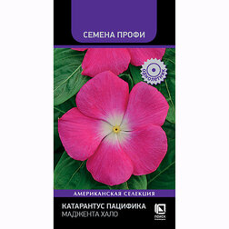 Катарантус Пацифика Маджента Хало (Семена Профи) семена ов катарантус амп медитерранен розовый 7 шт