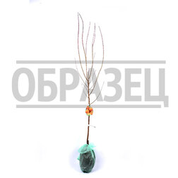Абрикос Нью Джерси (подвой абрикос) (2-х лет) (в сетке)