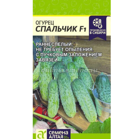 Огурец Спальчик F1