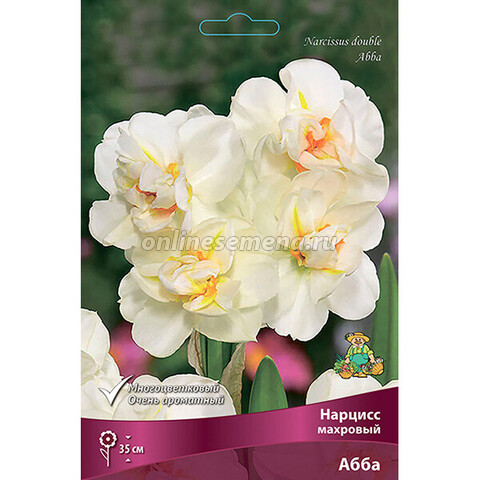 Нарцисс Махровый Абба (коробка 40 шт.)