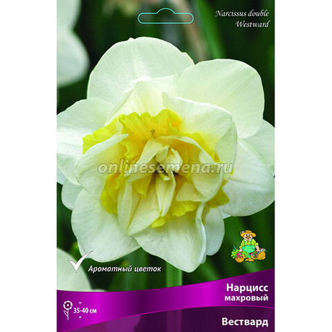 Нарцисс Махровый Вествард (коробка 40 шт.)