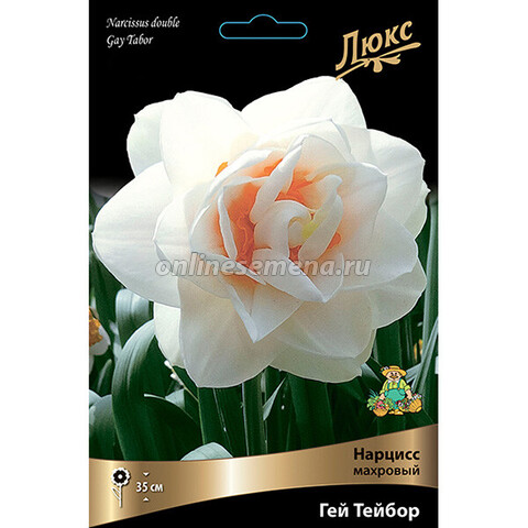 Нарцисс Махровый Гей Тейбор (коробка 40 шт.)