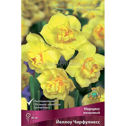 Нарцисс Махровый Йеллоу Чирфулнесс (коробка 40 шт.)