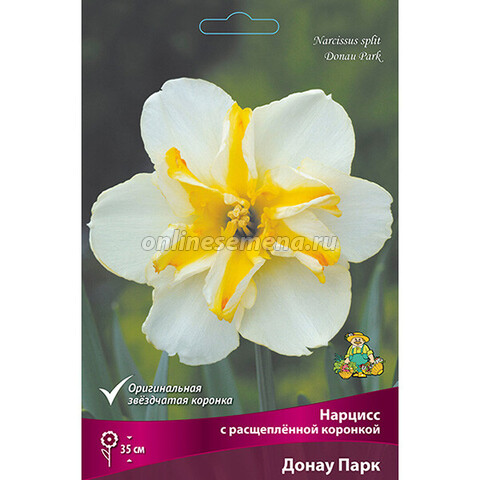 Нарцисс с расщеплённой коронкой Донау Парк (коробка 40 шт.)