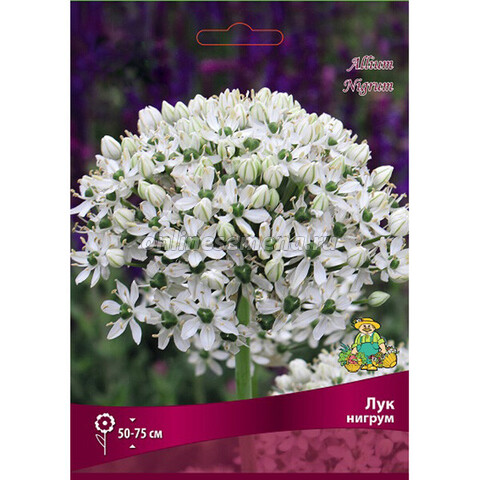 Лук декоративный Нигрум (коробка 250 шт.)