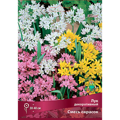 Лук декоративный смесь окрасок (коробка 250 шт.)