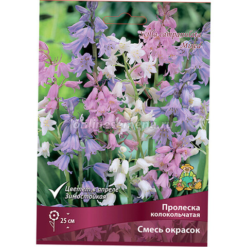Пролеска колокольчатая смесь окрасок (коробка 250 шт.)