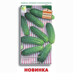 Огурец Новинка