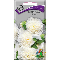 Шток-роза Белая шток роза белая