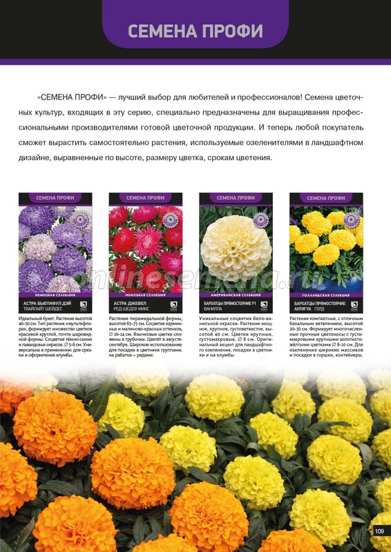 Агрохолдинг поиск каталог семян цветов и овощей. Агрофирма поиск каталог 2024 год